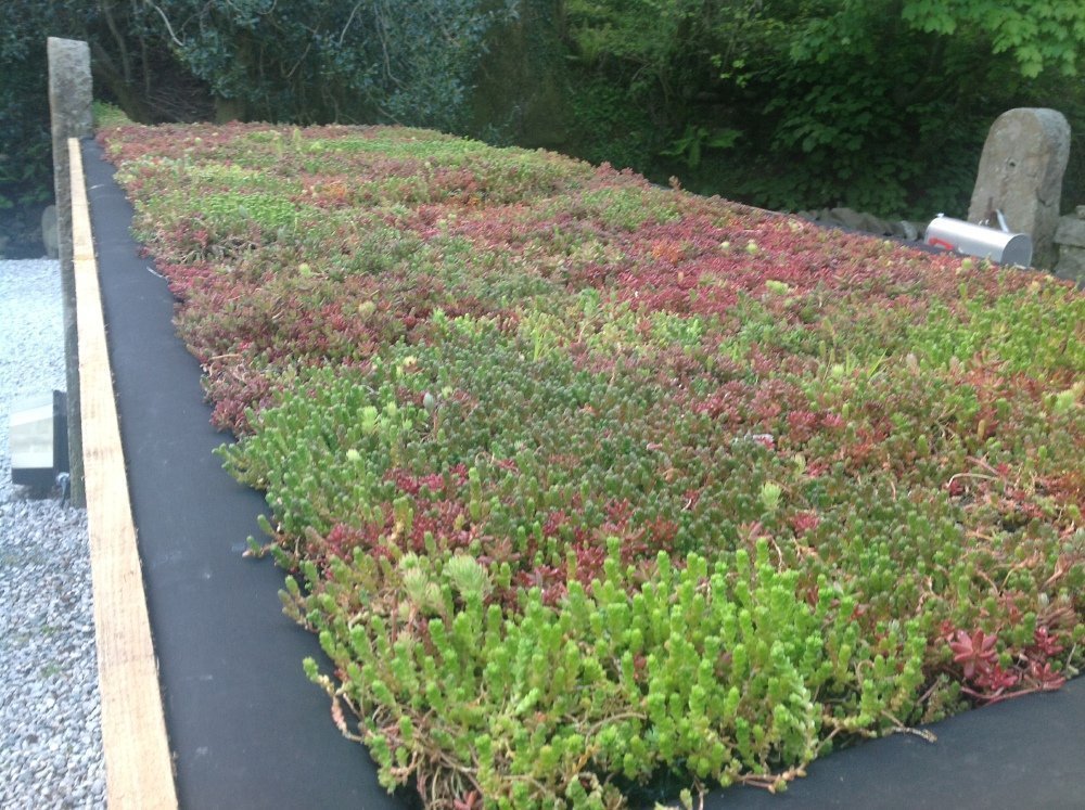 Roof green designs world land8 landscape architects network november views comments Incorporating green elements into a rooftop landscape design for improved air quality